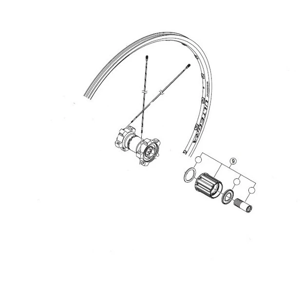 Corps Roue Libre Shimano Ultegra WH-6700 Y4FP98050 3 Corps Roue Libre Shimano Ultegra WH-6700 Y4FP98050