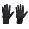 Gants Hiver Northwave Fast Polar Noir